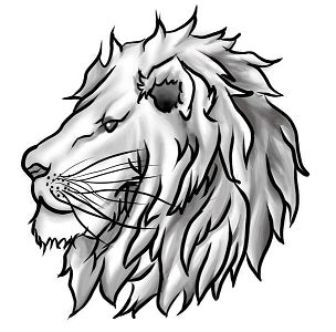 Leo-energy logo